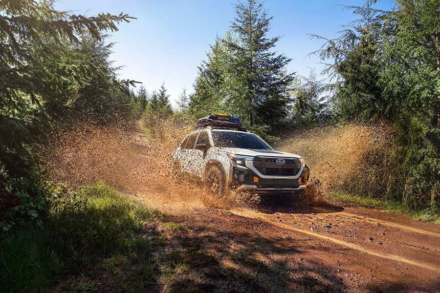 Цена на Subaru Forester Wilderness 2026 - Какво очакваме